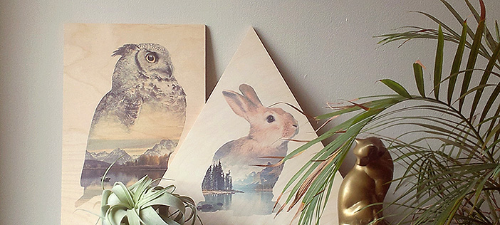 Art Direction og art prints for Faunascapes